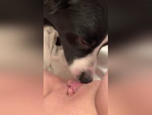 Forbidden Encounter: Woman and Dog