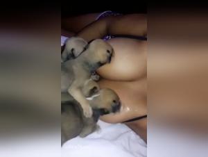 Intense breastfeeding: women and dogs in bestiality sex videos
