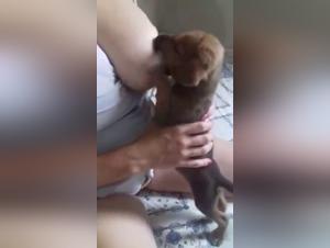 Forbidden Frontiers: Tiersex and Zoo Art