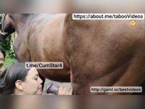 Pferd Creampie Frau