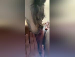 hund sex, junge tierisch