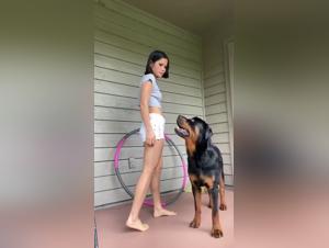 Bestiality sex videos: discover secret intimacy