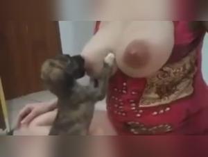 Bestiality Video: Woman Breastfeeds By Dog
