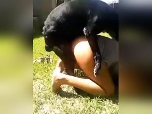 Bestial encounter: woman and dog