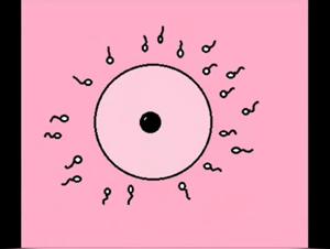 New short bestiality animation with dogs