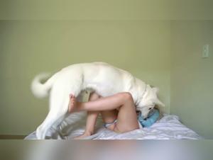 Extreme Bestiality: A Girl and Her Dog