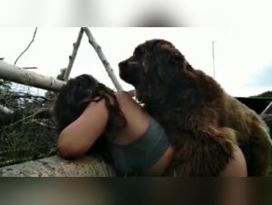 Video of Sex with a Dog