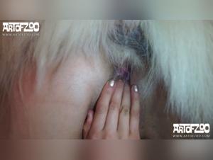 A passionate canine encounter with Pamela