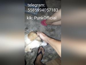 Amateur bestiality videos: women and dogs