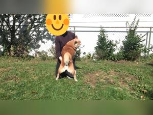 Bestiality Videos: Extreme Animal Sex Tube