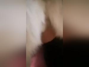 An Unforgettable Experience: Sex with a Dog