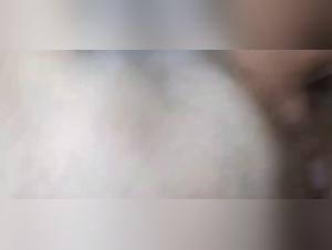 Cat sex and a housewife's dirty little secret