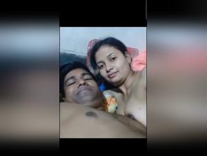 La Obscenidad del Sexo Animal Desvelada