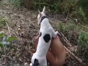 A beastly encounter in the forest