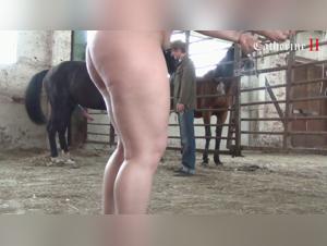 Alisionprod: Erotic Exploration at the Heart of the Zoo