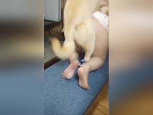 baise chien épouse chinoise sauvage