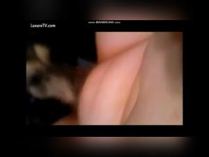 A dog and her canine friend: a unique animal experience