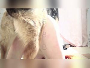 Scarlet and her canine lover: a shocking bestiality video