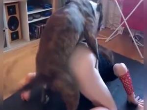 Woman submissive to her dog: an extreme experience of bestiality sex