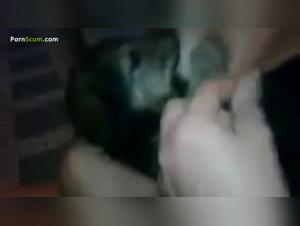 Compilation of Women Lovers of Canine Love - Bestiality Zoophilia Video