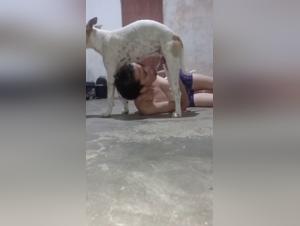 female teen fucking dog