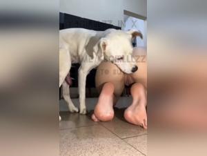 Videos Beastiality: Knot de Perro Atormenta a Mujer