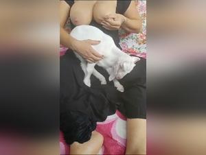 allaitement de chèvre sauvage, sexe extrême