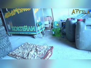 An Intimate Relationship with my Dog