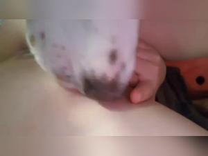 Forbidden Meeting: Woman and Dog