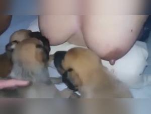 Woman Breastfeeding Puppy in Shocking Bestiality Sex Video