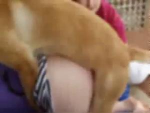 Perra Con Perro XXX
