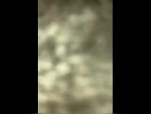 Intimate Video with a Dog