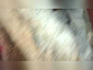 Forbidden Meeting - Sex with a Dog