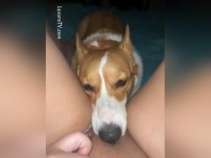 Bestiale of Slut and Dog Fuck Intense