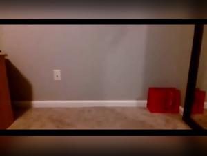 Webcam Girl and Her Four-Legged Companion: Extreme Bestiality Zoophilia Sex Videos