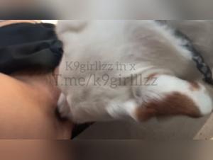 nacktheit und hund sex im strassen