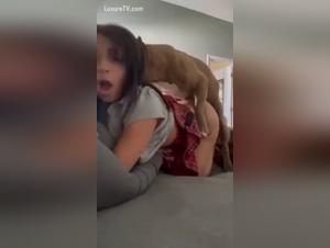 pitbull secret, teen & baise sauvage