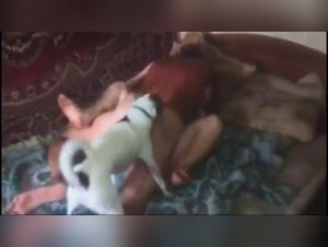 Forbidden Intimacy: Man and His Best Friend