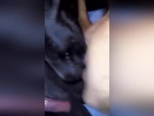 Amateur Woman and Her Dog - Bestiality Video