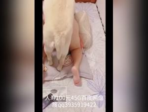 Free Bestiality Hentai Animal Sex Animated Video