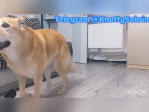 Homemade Zoophilia: Young Girl & Dog