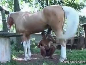 Babe with sexy shape is sucking mare wiener