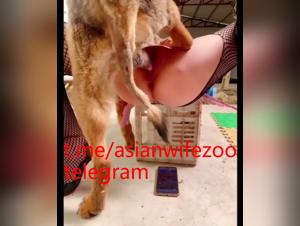 bestialità sfrenata, passione canina