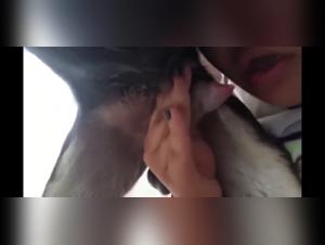 Outdoor bestiality sex video: teen girl and dog
