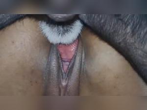 Hot Dog Sex: Perro Follando a una Chica