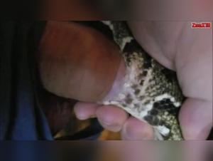 Woman and Serpent: A Forbidden Encounter