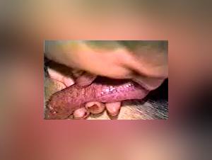 iCarly and her dog: a forbidden love story