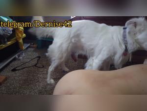 Dog Penetration XXX - She Gets Fucked Hard