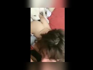tierische lust: hund leckt und saugt