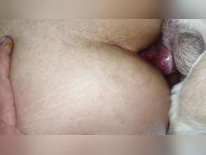 Lupita, the female dog subjected to bestial sex